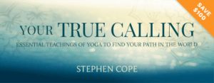 Your True Calling with Stephen Cope